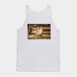 Portrait of California gull Tank Top